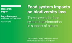 teaser food systems biodiv loss bericht